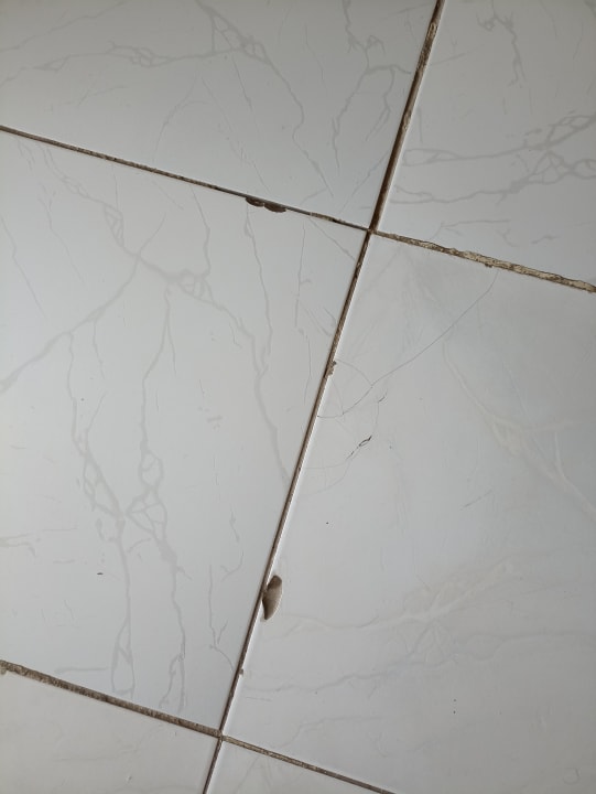 Zimmer Ghazala Gardens