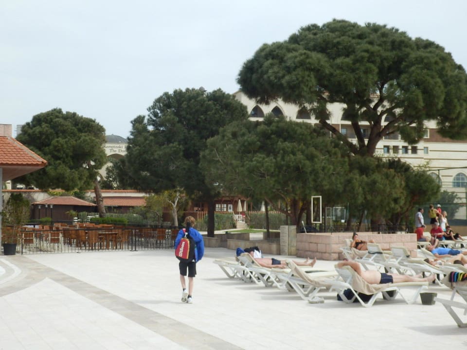 Bar  Sirene Belek Hotel