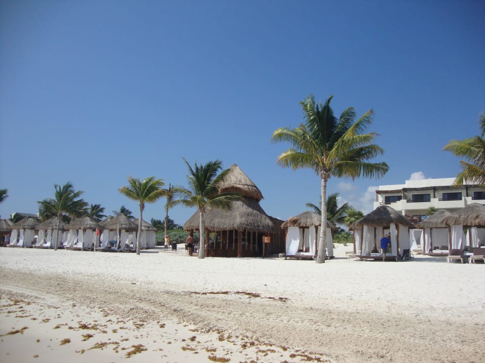 Hotel Catalonia Playa Maroma Catalonia Playa Maroma