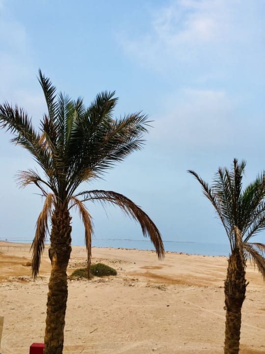 Strand Shams Prestige Abu Soma-Adults Only