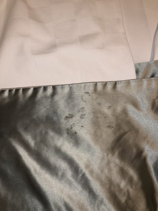 Zimmer Horus Paradise Luxury Resort & Club