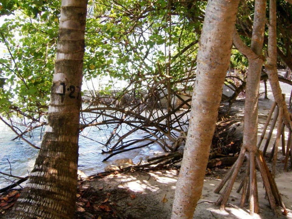 072-0 Strand nach rechts fotografiert Vilamendhoo Island Resort & Spa