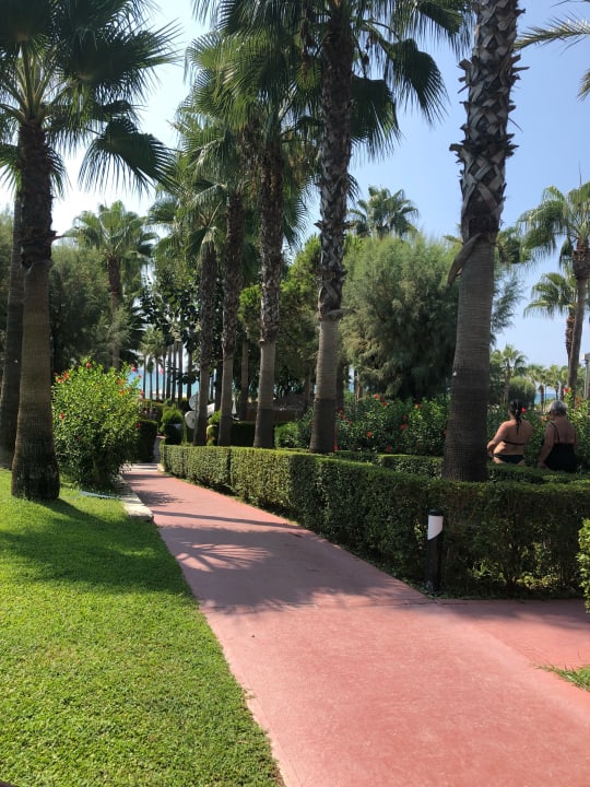Gartenanlage Hotel Miramare Beach