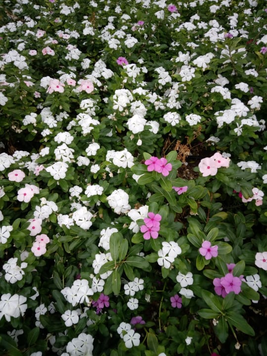 Sonstiges VONRESORT Golden Beach