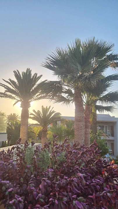 Gartenanlage Anissa Beach & Village