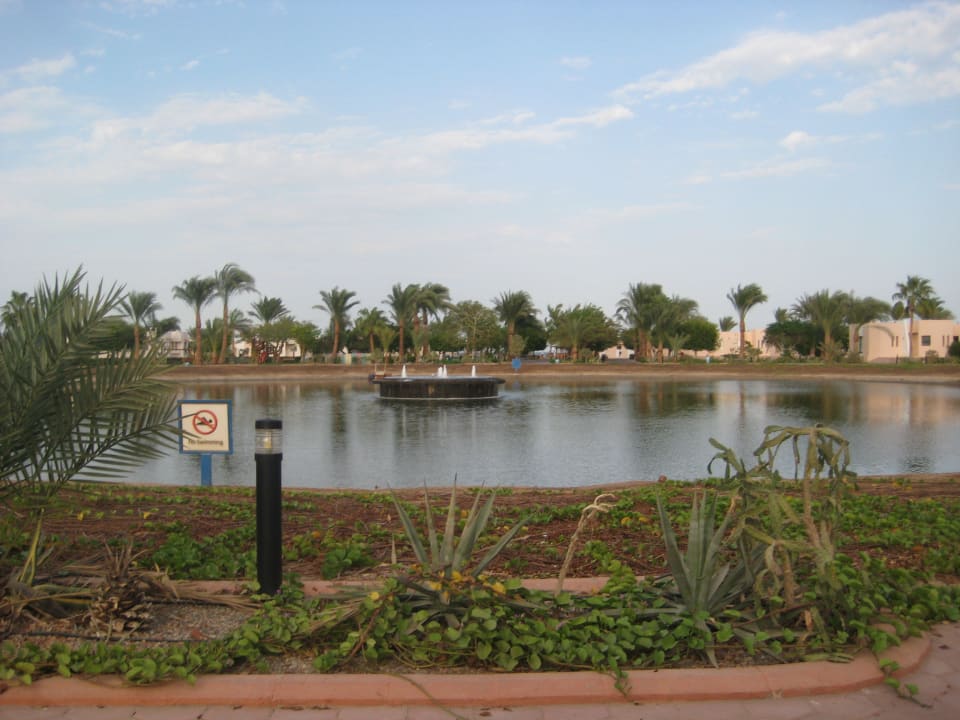 Прудик Pharaoh Azur Resort