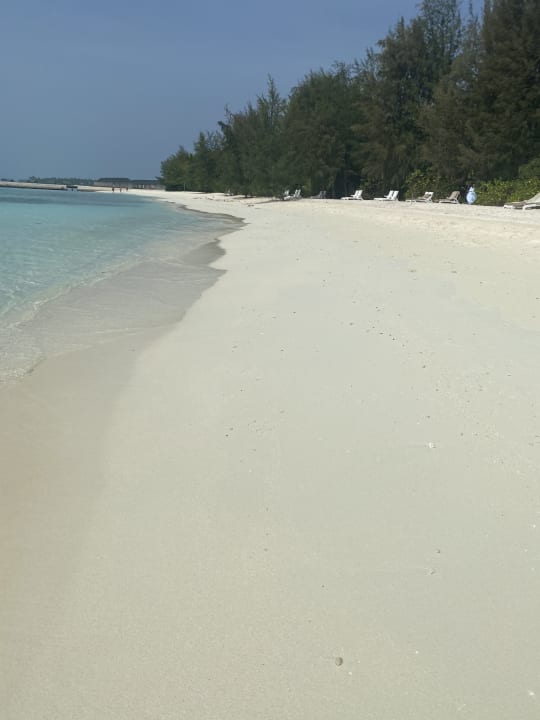 Strand Summer Island Maldives