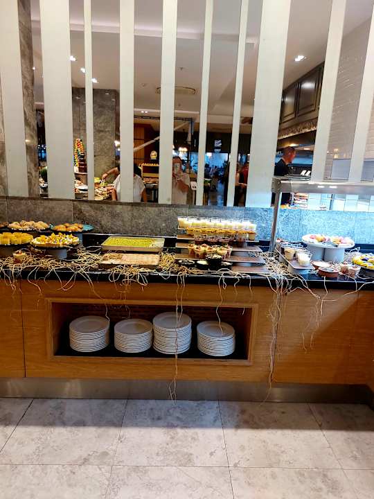 Gastro Seashell Vega