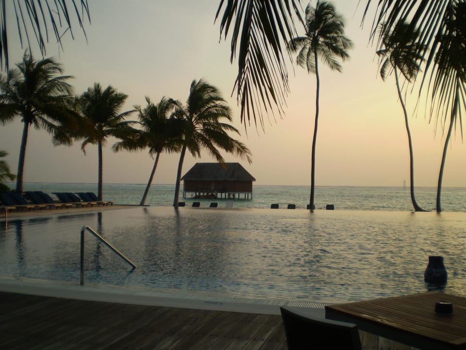 Morgens am Erwachsenenpool Meeru Maldives Resort Island