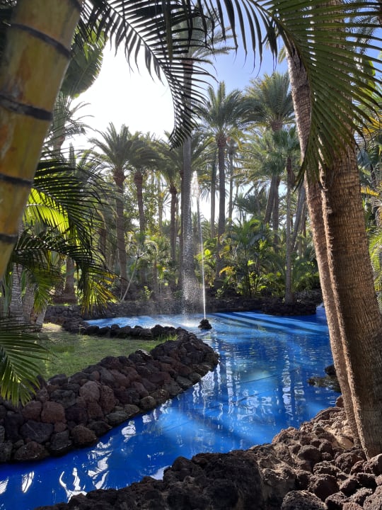 Gartenanlage Hotel Riu Palace Oasis