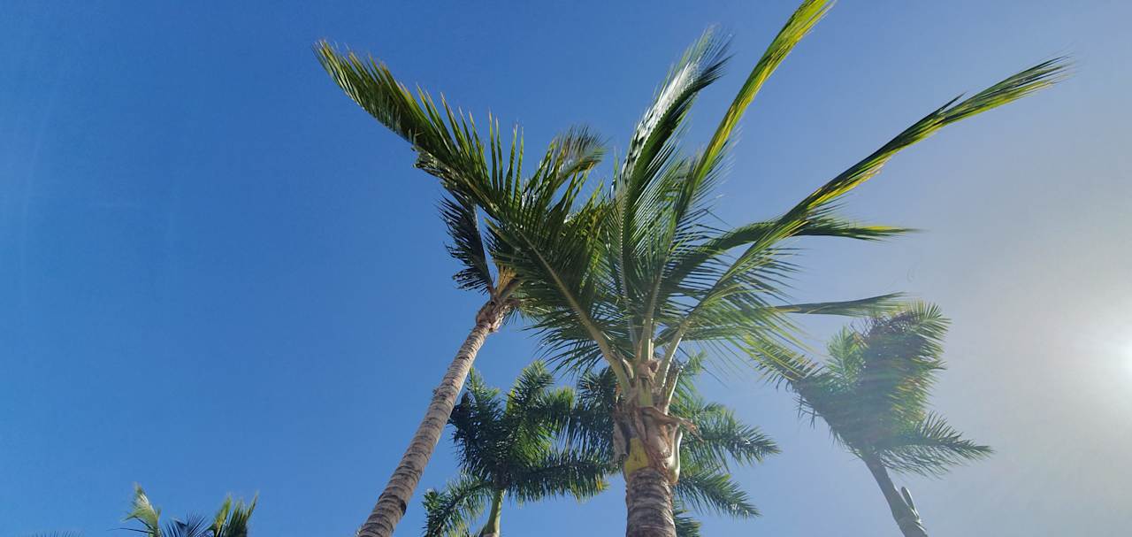 Außenansicht allsun Hotel Esplendido