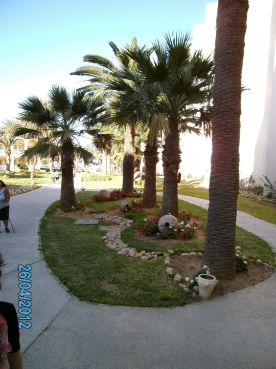 Hier beginnt die wunderschöne Gartenanlage. Hotel Marhaba Club