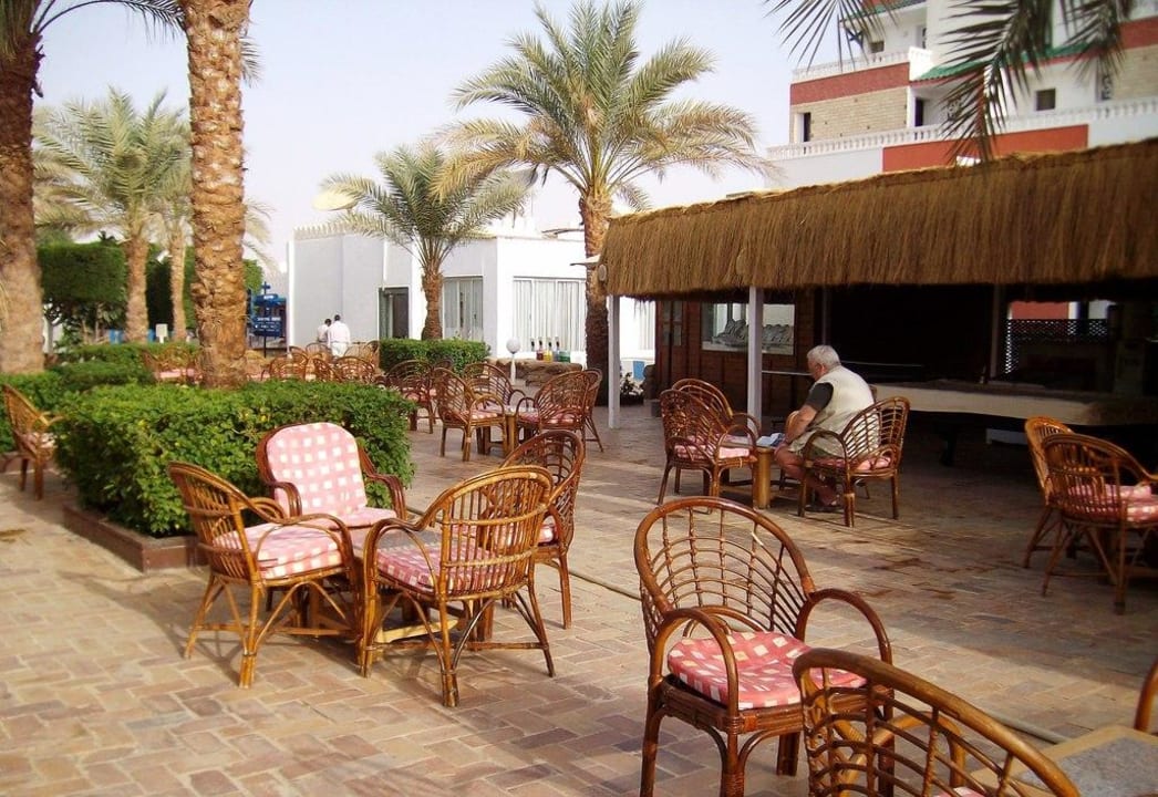 Bar am Ruhepool Albatros Sharm Resort