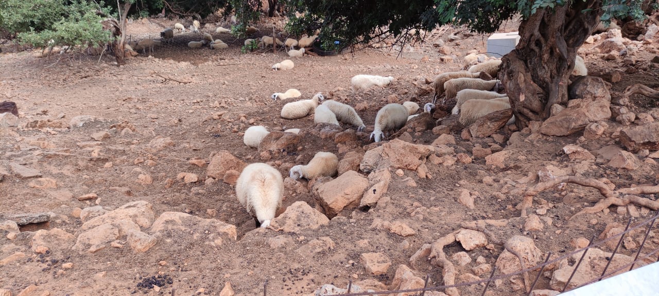 Sonstiges Cactus Beach