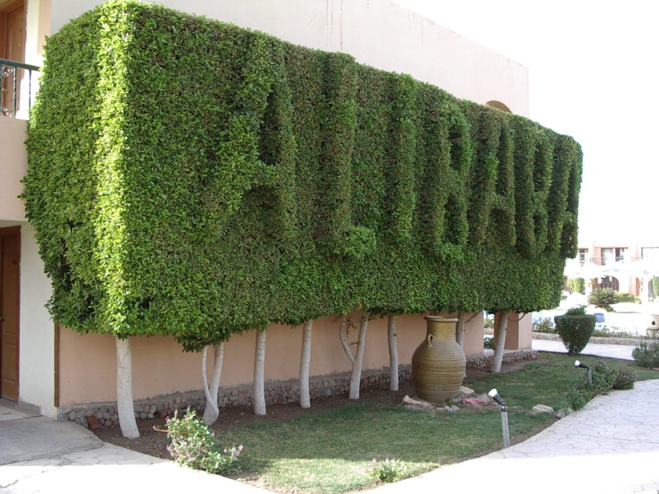 Deko Ali Baba Palace Resort