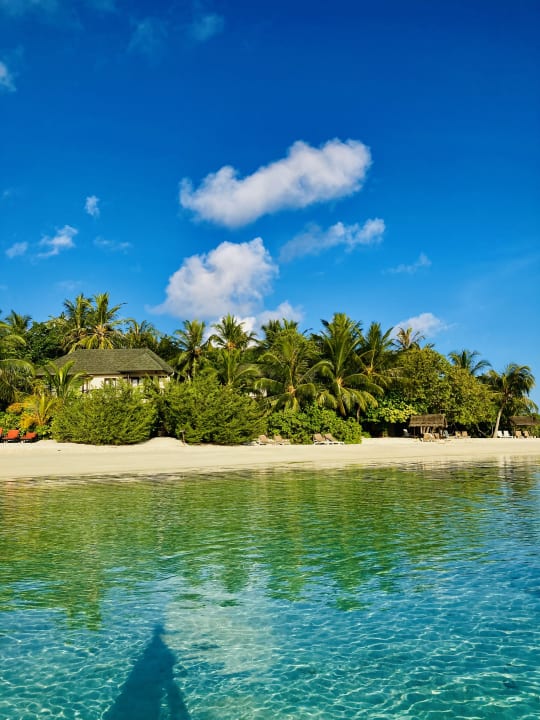 Strand Summer Island Maldives