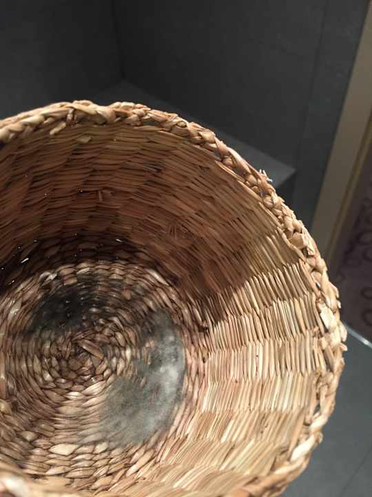 Zimmer Domina Hotel Novosibirsk