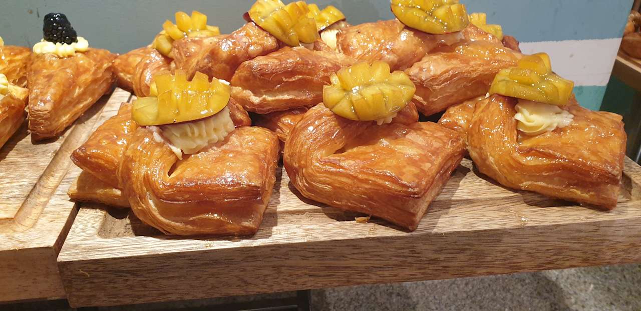 Gastro JAZ Elite Asteria