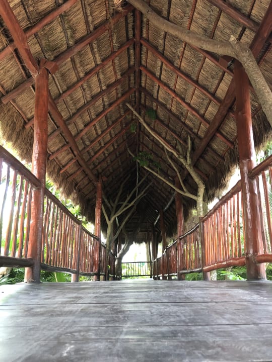 Sonstiges Akumal Bay Beach & Wellness Resort