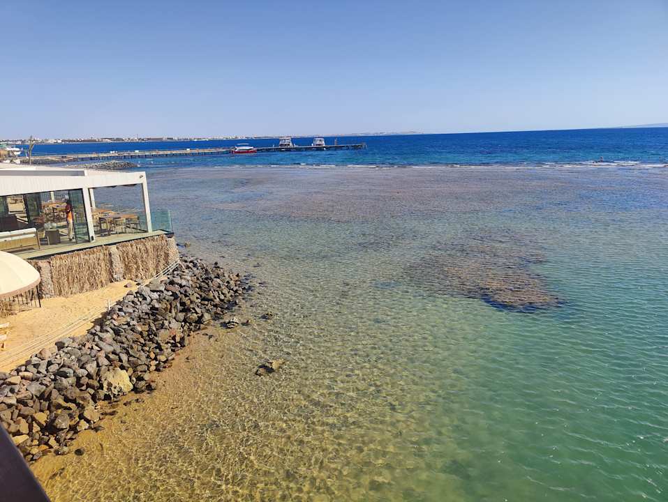 Ausblick Desert Rose