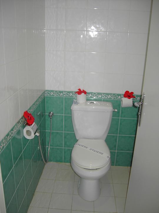 Geschmückte Toilette Hotel Nesrine