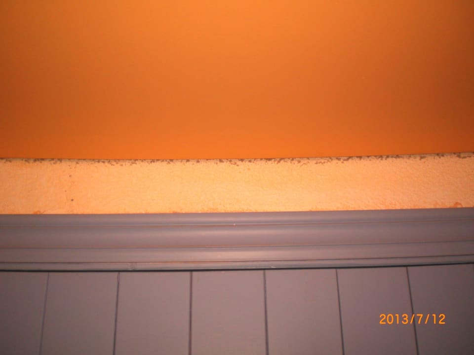 Apartamentos Calas de Ibiza Beach Star Ibiza Hotel by Senator