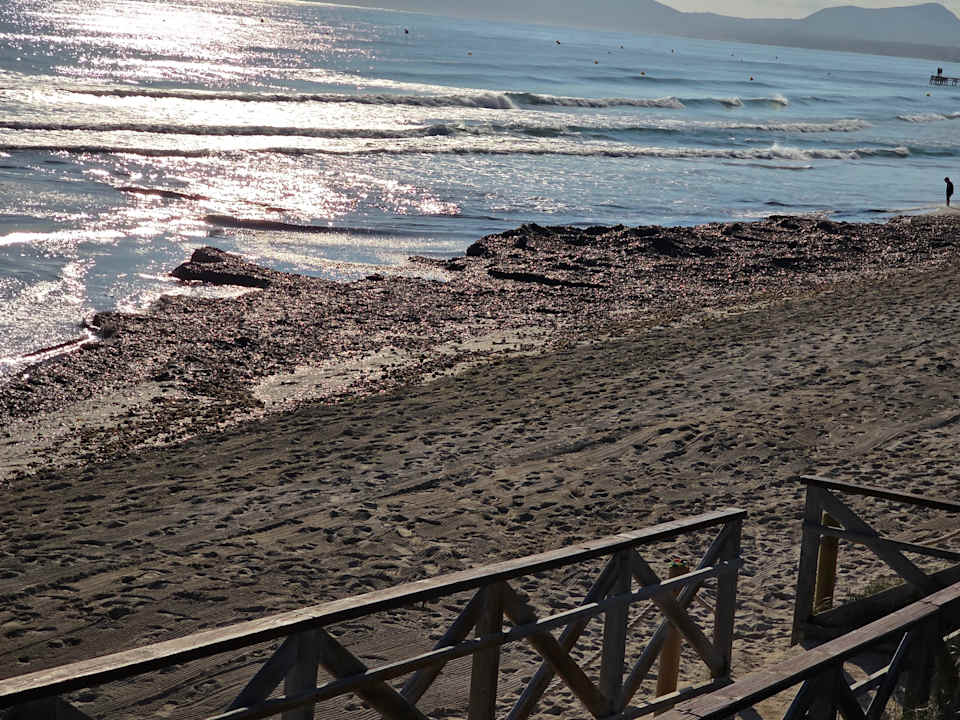 Strand allsun Hotel Eden Playa