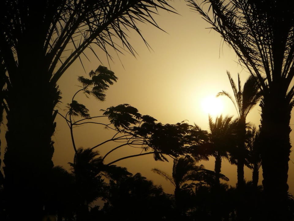 Sonnenaufgang Steigenberger ALDAU Beach Hotel