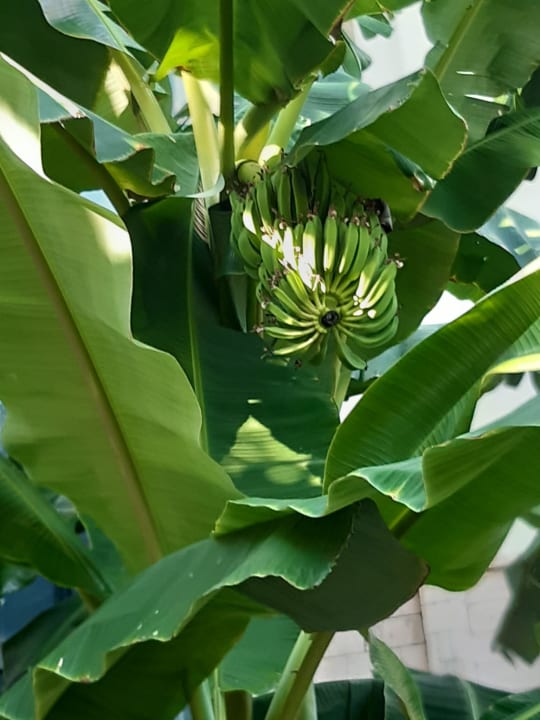 Außenansicht Melas Resort Hotel