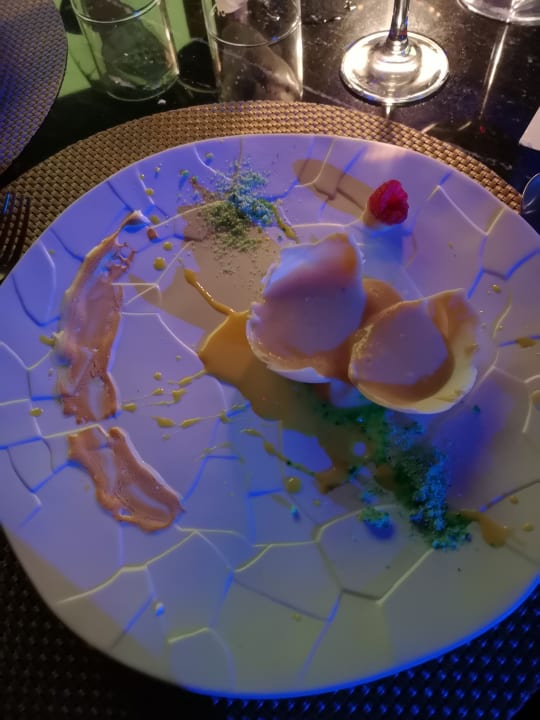 Gastro TRS Yucatan Hotel - Adults only