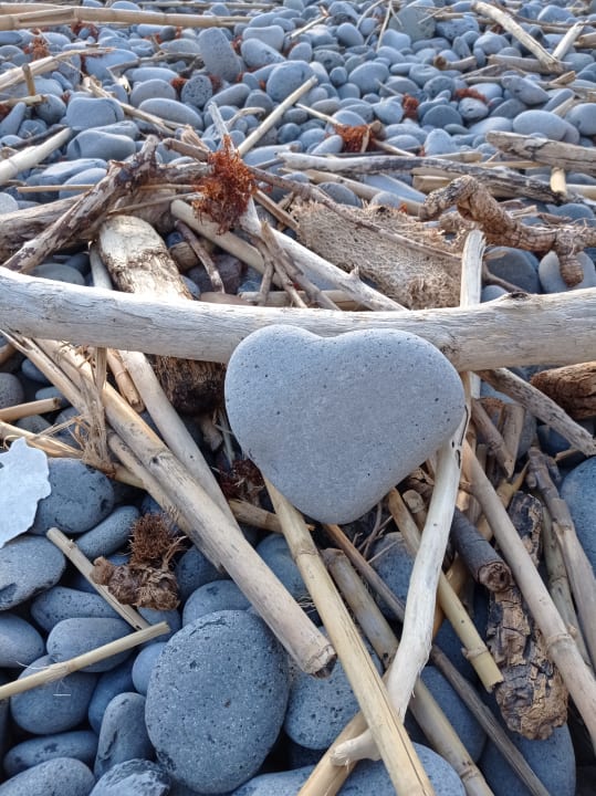 Sonstiges Pestana Grand Ocean Resort