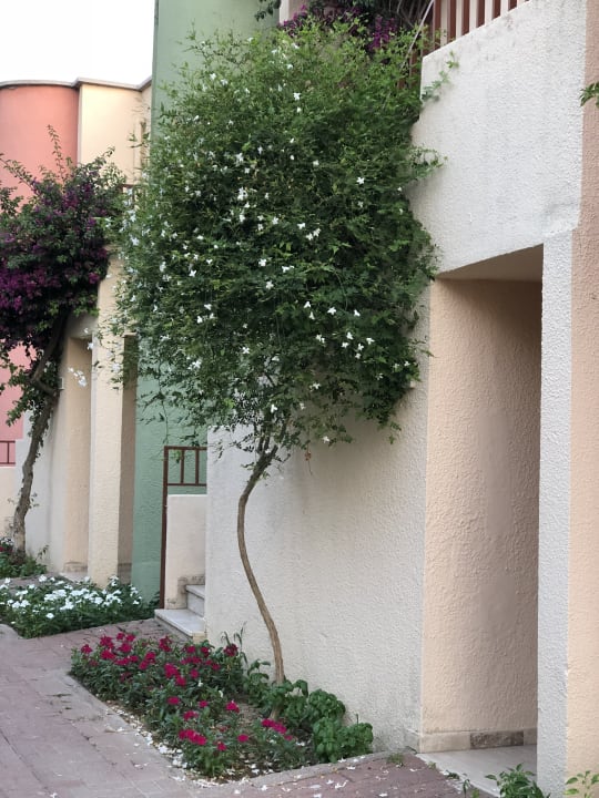 Gartenanlage VONRESORT Golden Beach