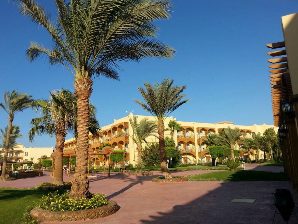 Unser Haus Desert Rose