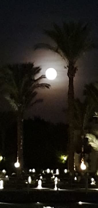Außenansicht Pickalbatros Dana Beach Resort - Hurghada