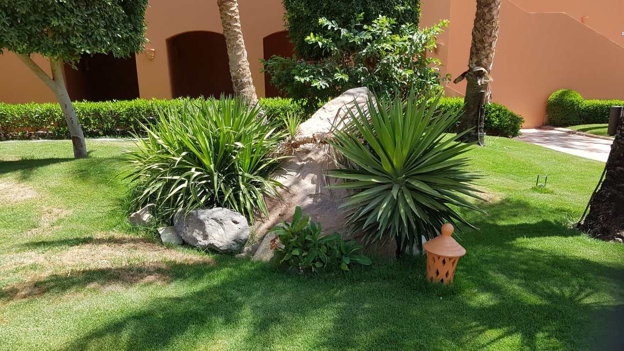 Gartenanlage Jaz Makadi Oasis Resort
