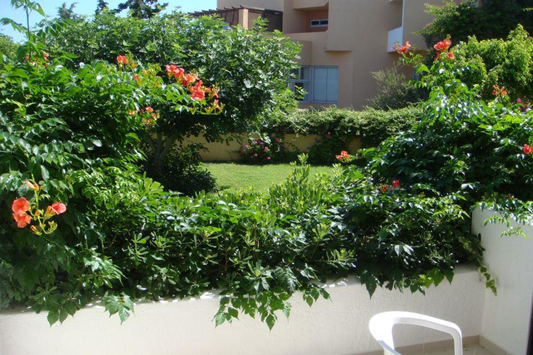 Widok z tarasu Anissa Beach & Village