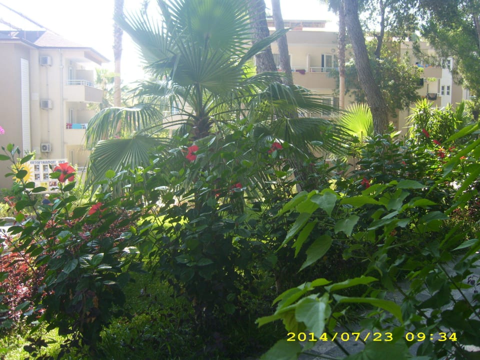 Parkanlage Club Sidelya Hotel