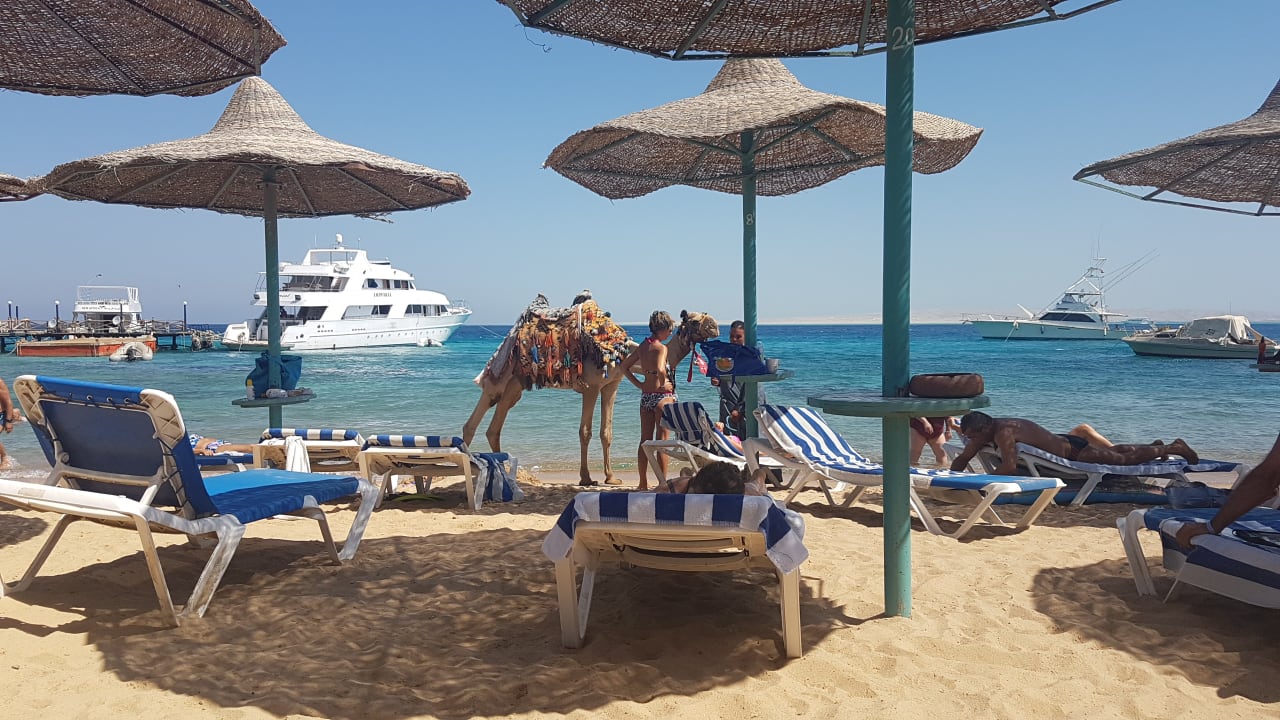 Strand Bella Vista Resort Hurghada