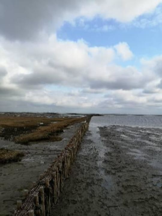 Ausblick Ferienhaus Hemenswarft direkt an der Nordsee mit Meerblick
