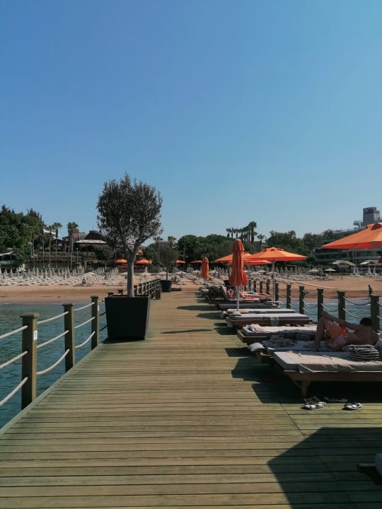 Strand Arum Barut Collection