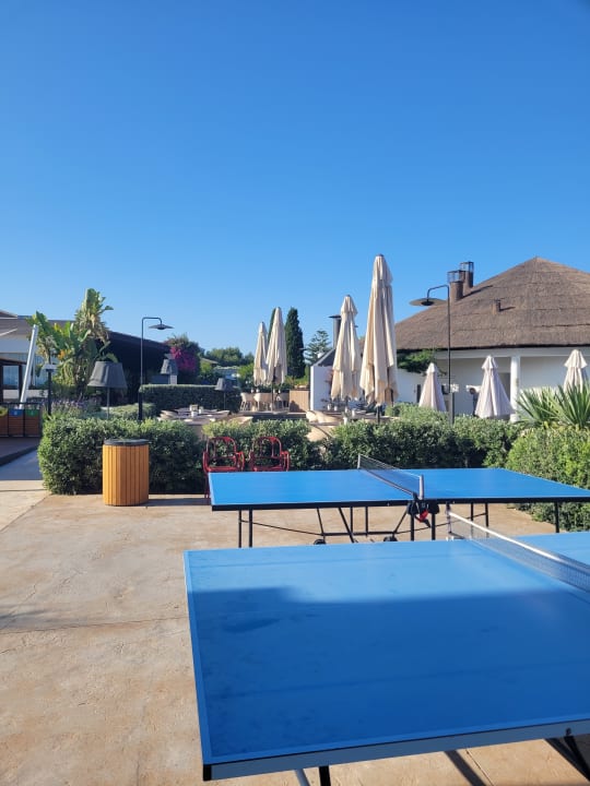 Gartenanlage Prinsotel La Dorada