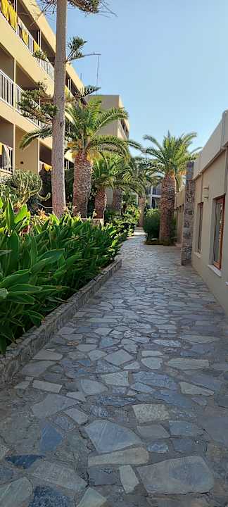 Gartenanlage allsun Hotel Malia Beach
