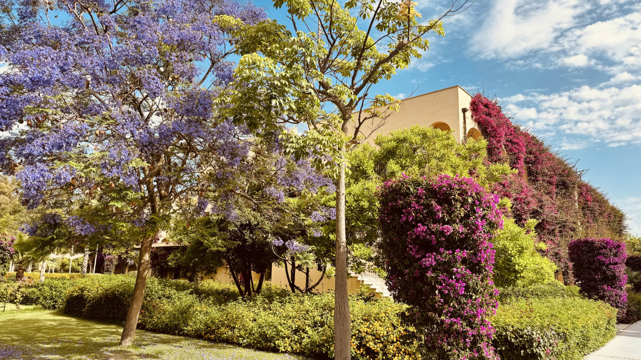 Gartenanlage TUI MAGIC LIFE Calabria