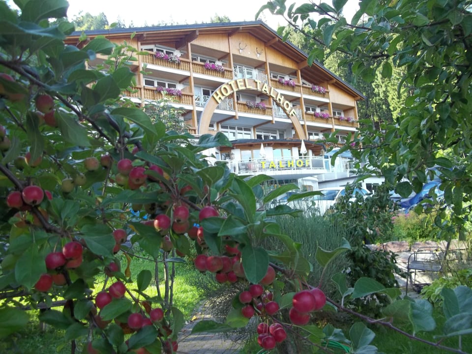 Blick vom Garten Panoramahotel Talhof Garni