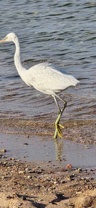 Ausblick Stella Beach Resort & Spa Makadi Bay