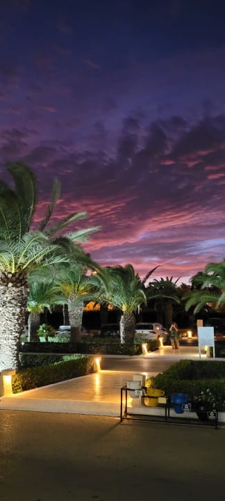 Gartenanlage Iberostar Waves Averroes