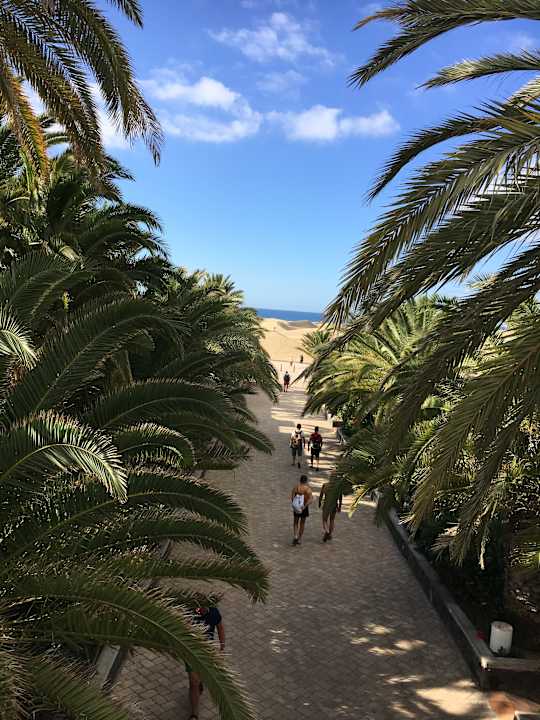 Gartenanlage Hotel Riu Palace Maspalomas Adults Only