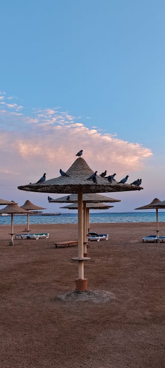 Strand Stella Beach Resort & Spa Makadi Bay