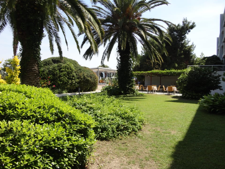 Ogród Caravia Beach Hotel