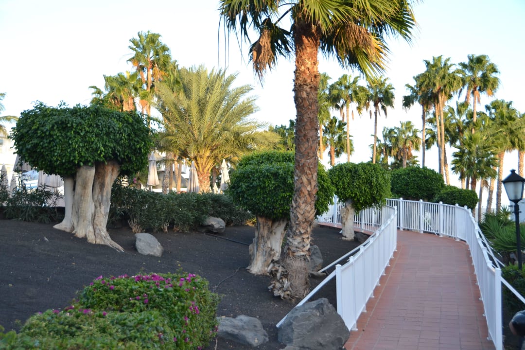 Weg zum Pool Hotel Riu Paraiso Lanzarote